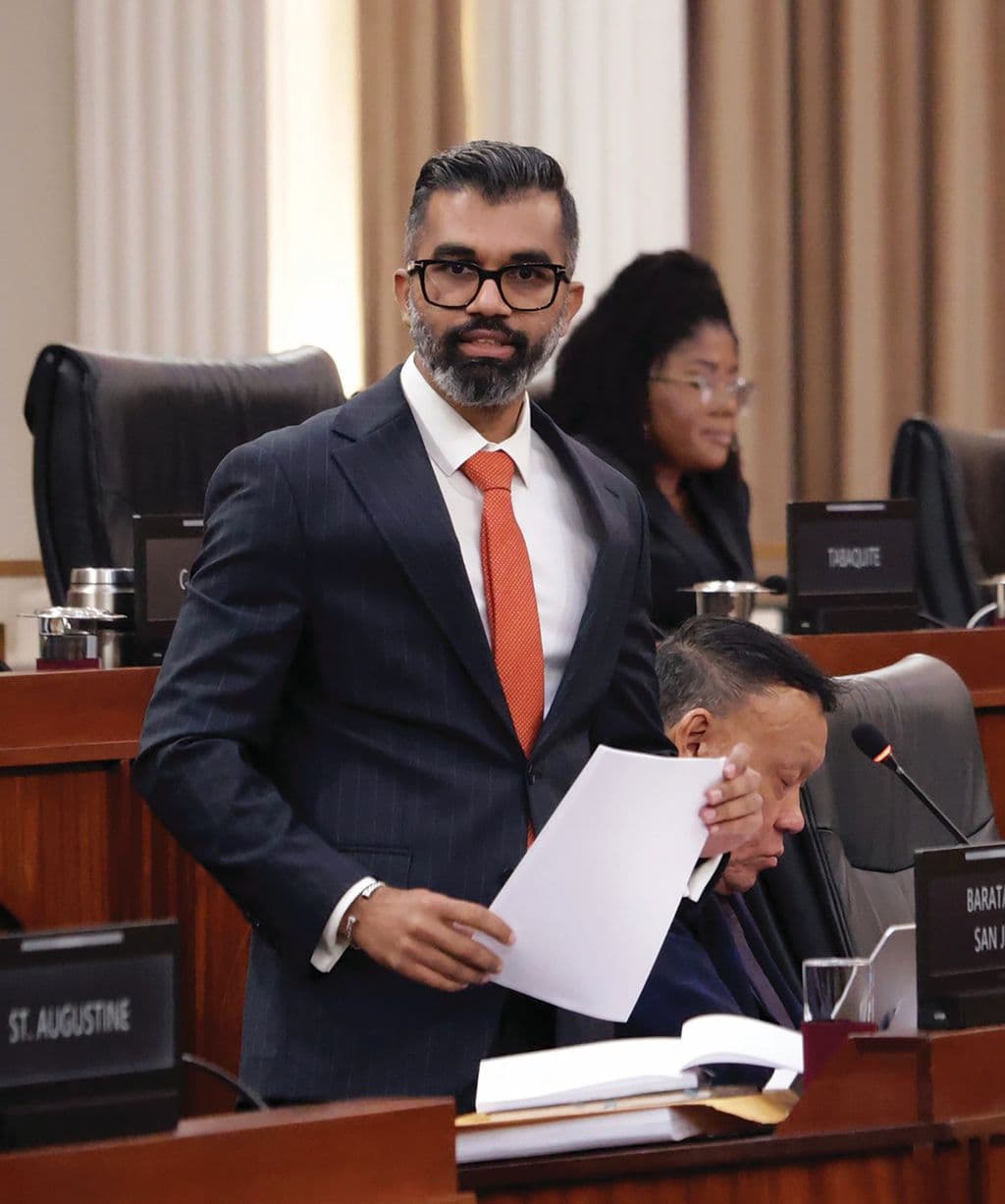 PNM takes issue with composition of LandmarkTT board