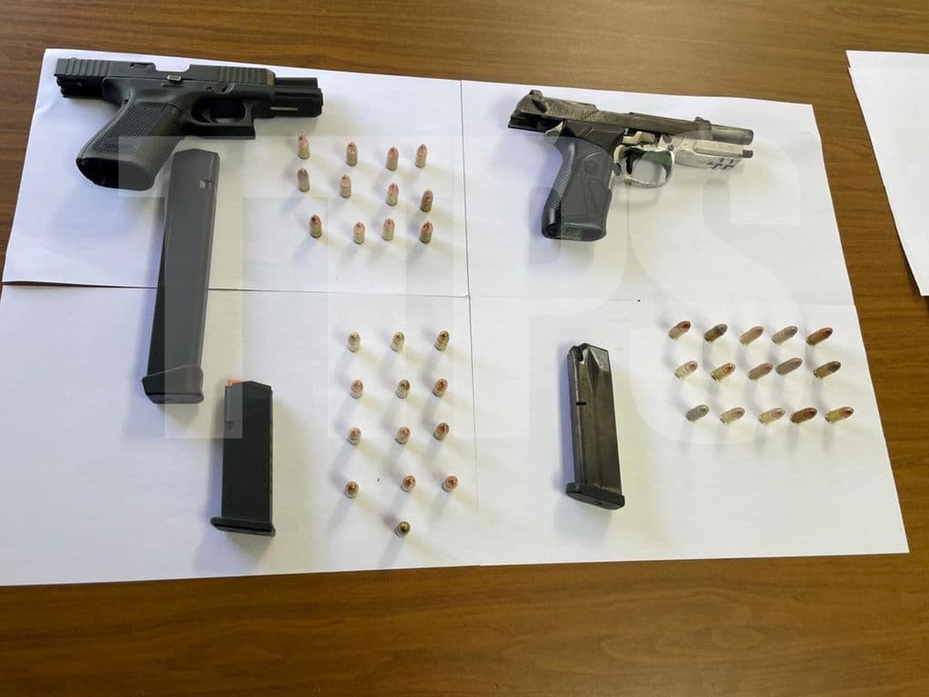 Four arrested; guns, ammo and marijuana trees seized