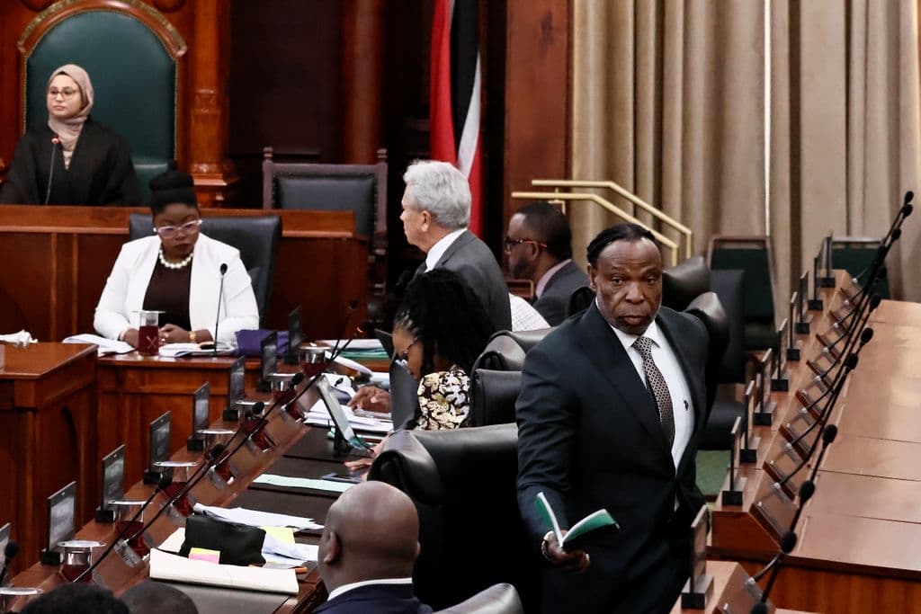PNM stages walkout from the House