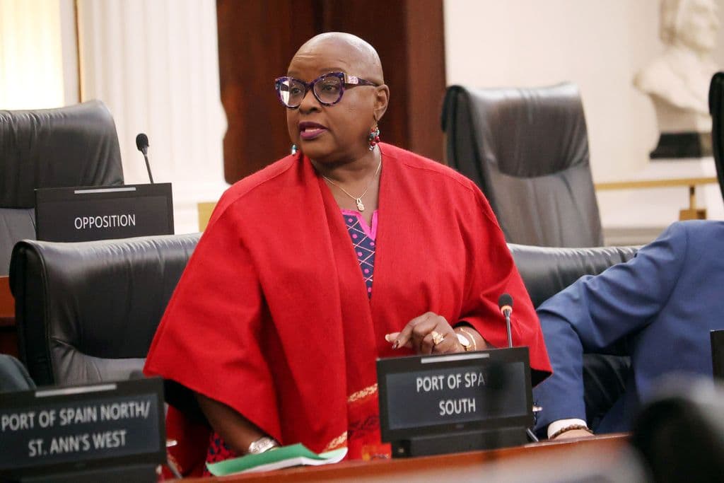 Opposition questions Speaker’s conduct after ruling in PAAC matter