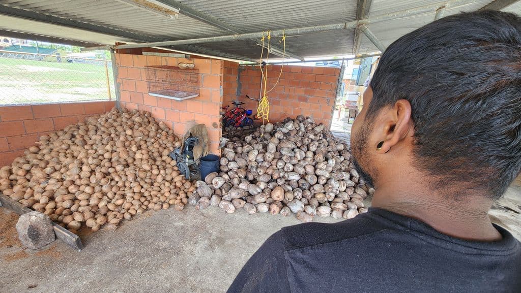 Tancoo defends proposed copra fine increase as producers seek consultation