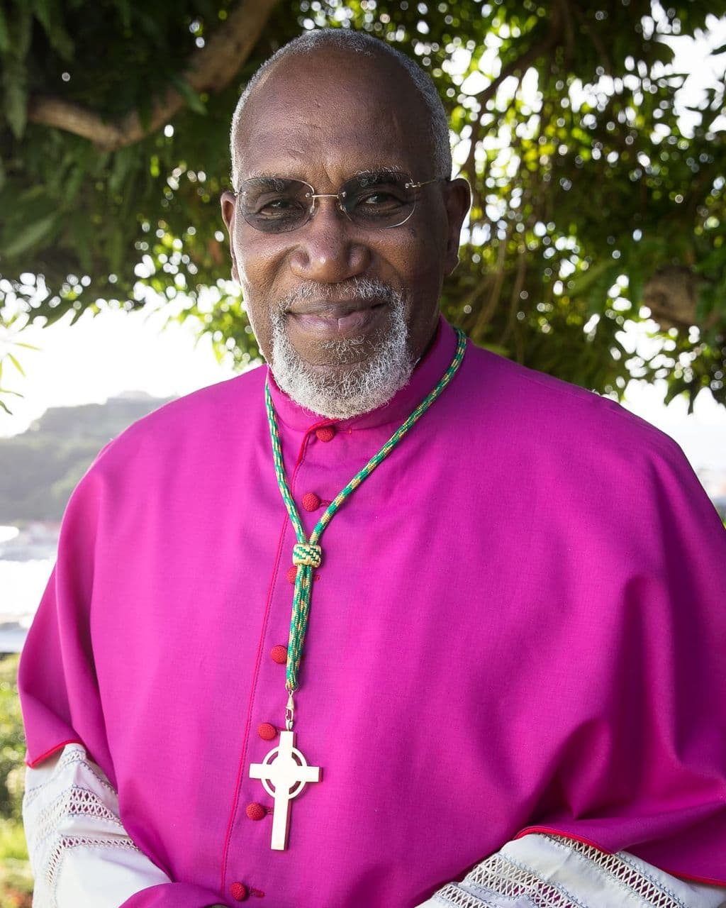 Pope Leo XIV accepts Bishop Harvey’s resignation