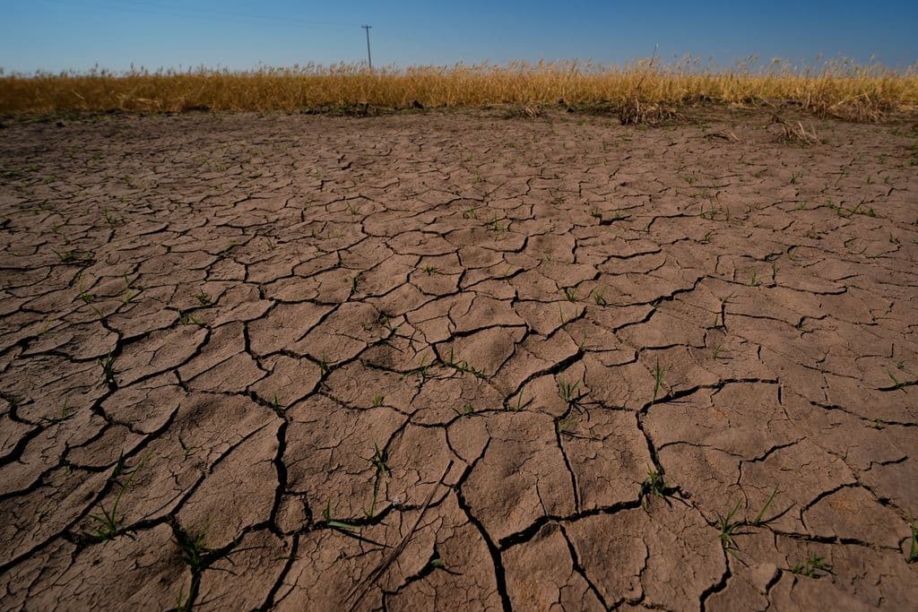 El Nino is here and scientists fear it’ll be big, bad and costly with heat, floods, droughts, fires