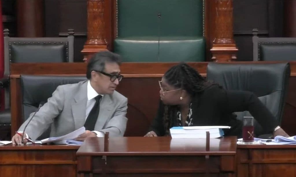 ‘Unprecedented’: Parliament expert condemns treatment of staff in mic row