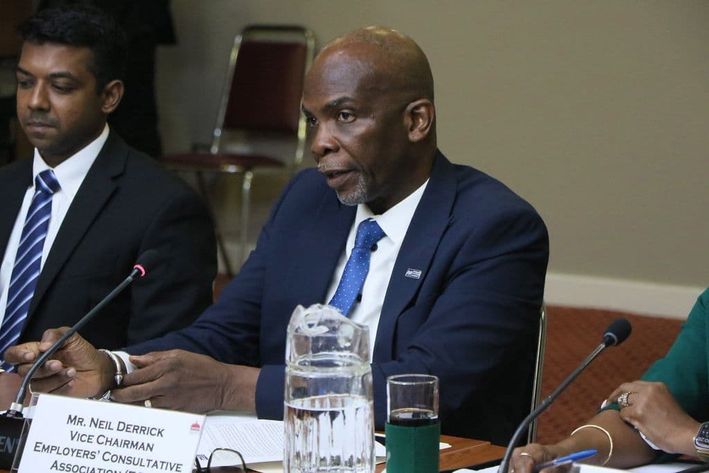 ECA urges structured school-to-work training to tackle youth unemployment