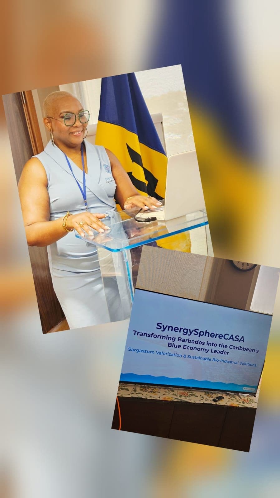 Firm pitches sargassum as "blue gold"