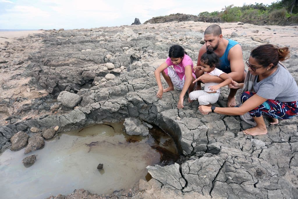Scientists probe Galfa’s uplifted coastline after Venezuela quakes