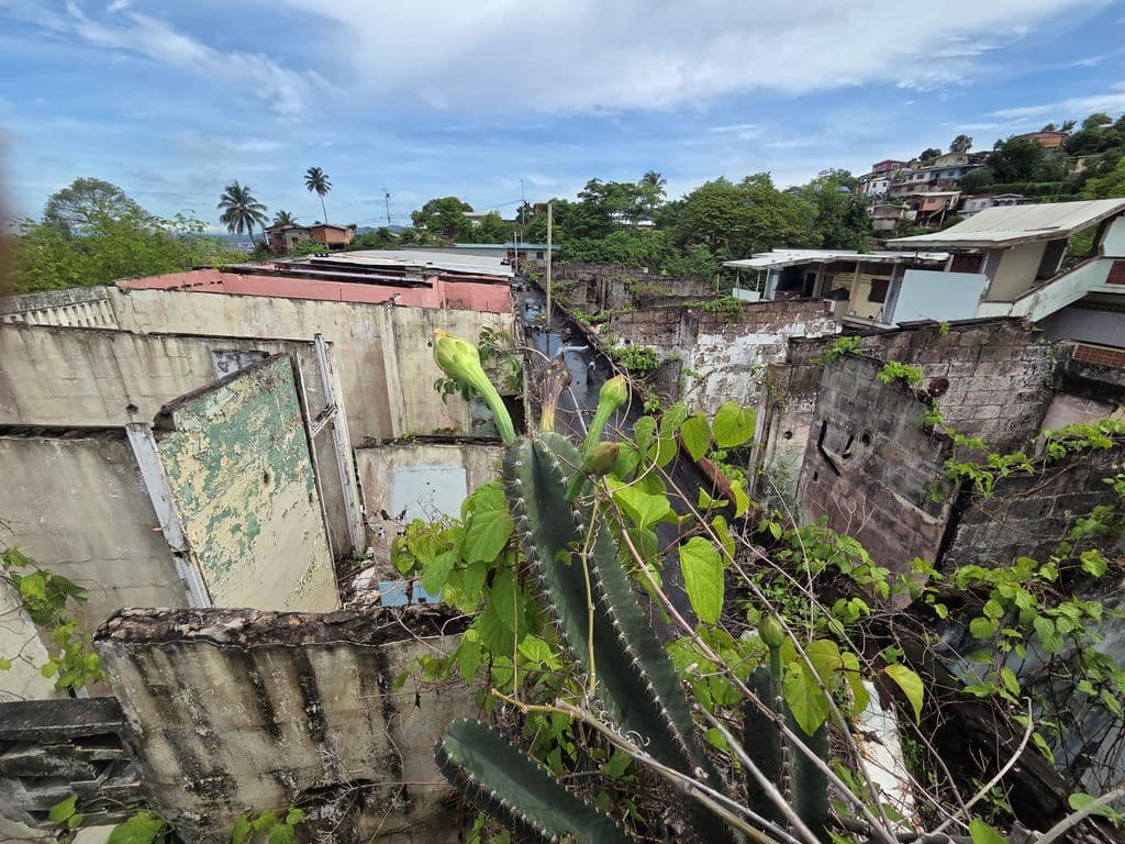 Residents say neglect fuelling gang recruitment in Laventille