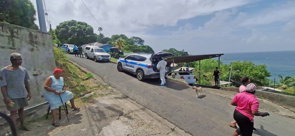 Trini man held fleeing Tobago after woman’s murder