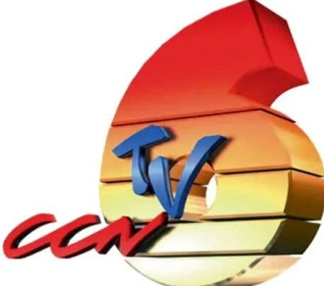 TV6 ordered to pay $350,000 for labelling a customs officer a terrorist