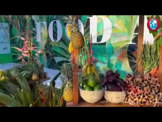 WATCH: Resilience takes centre stage at 27th staging of Jamaica Observer Food Awards