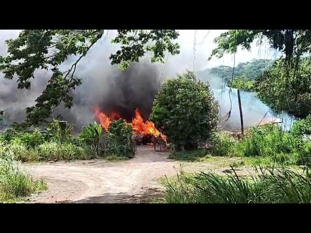 WATCH: Woman in custody for suspected arson in St Mary