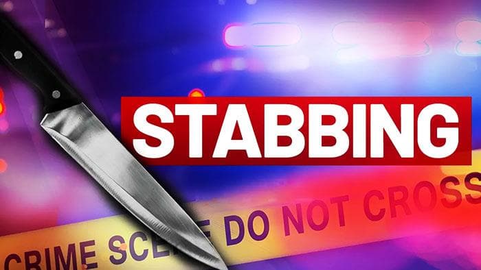 Brazilian stabbed to death in Reg. 7 backdam; one in custody