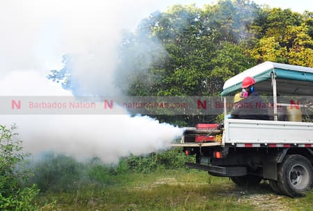 Fogging Schedule: June 1 to 5