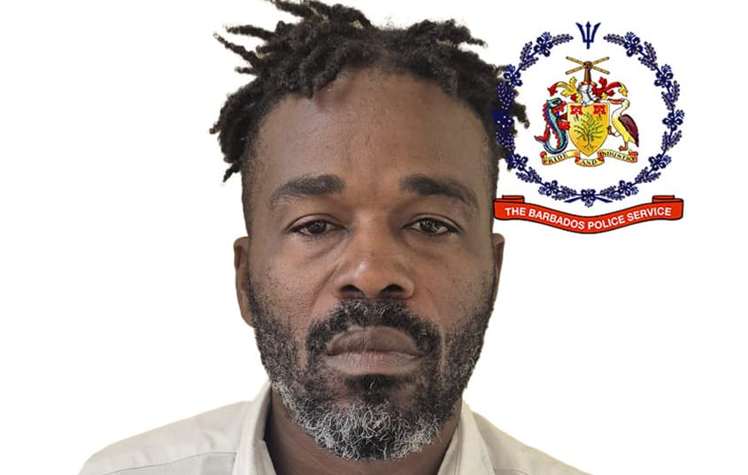 Remanded on gun and ammo charges