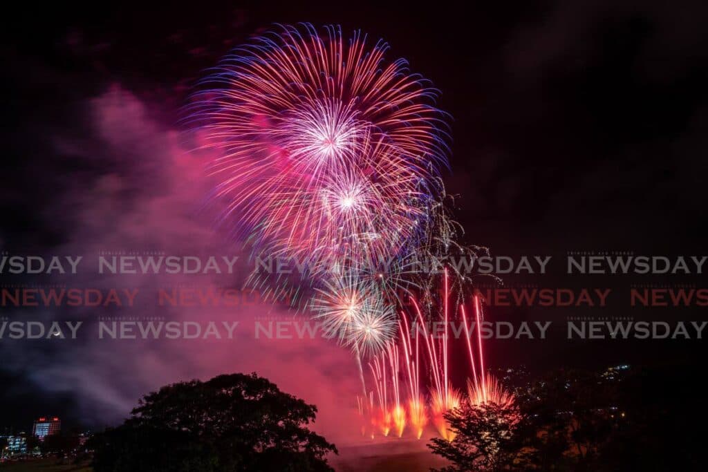 Government praised for 'compassionate' fireworks decision