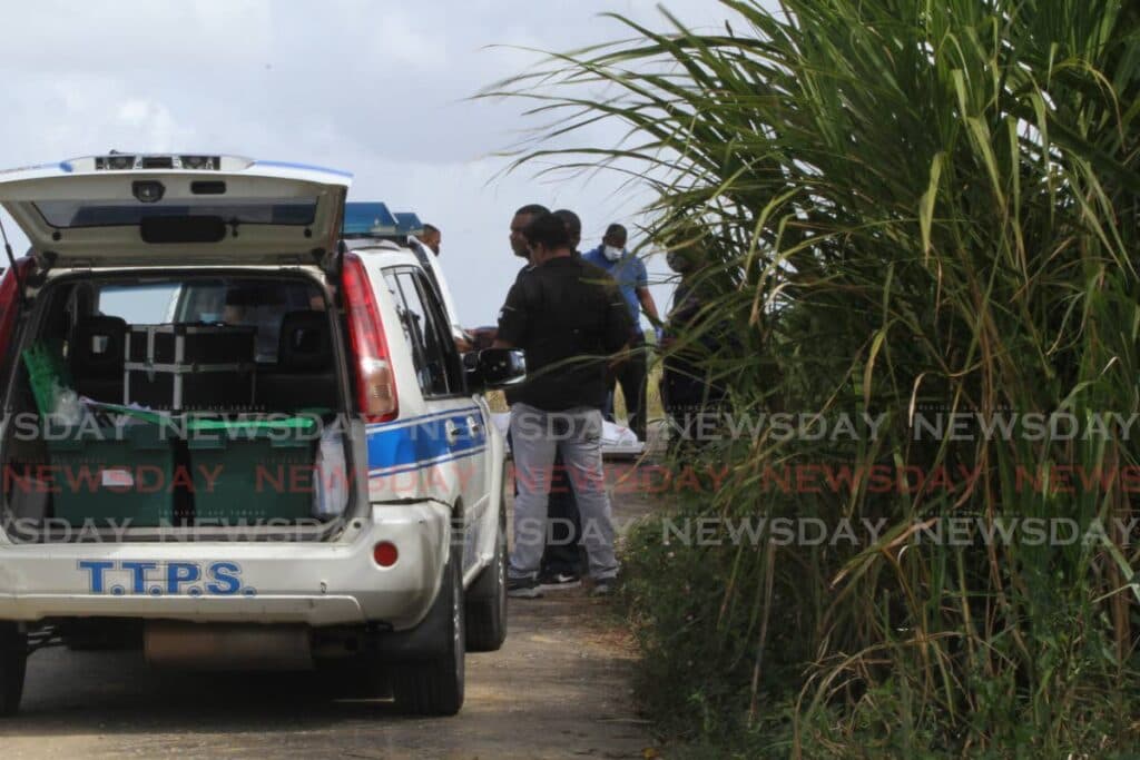 Valencia farmer found dead in own garden