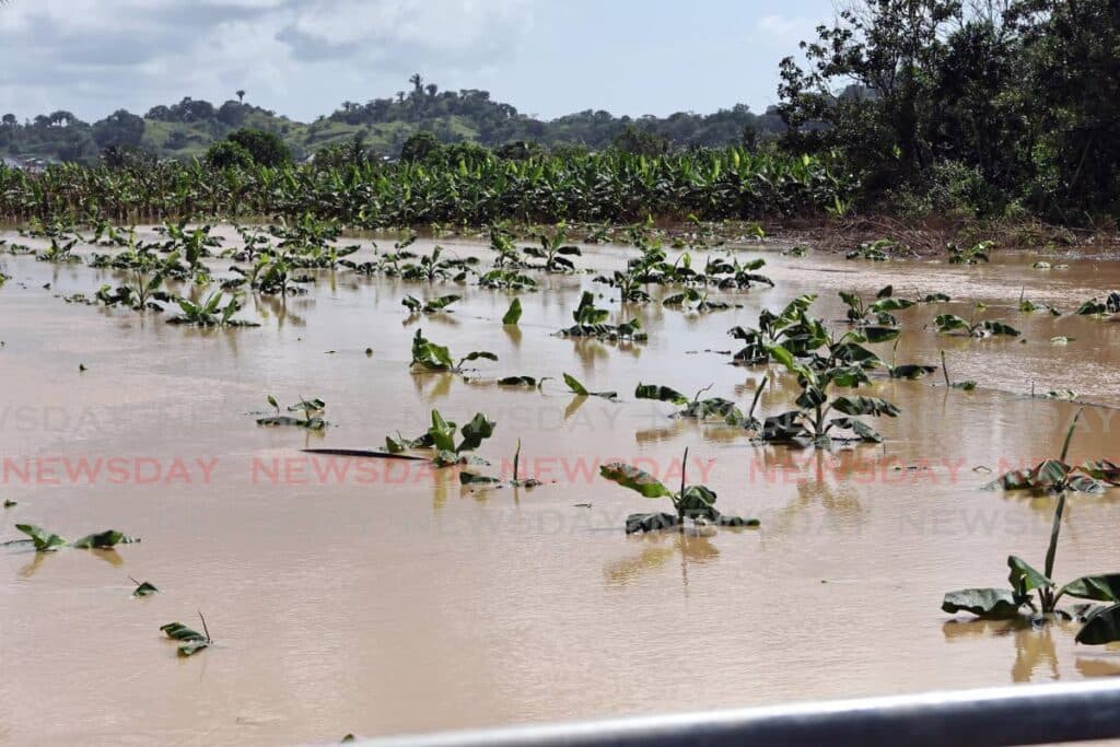 Heavy rains trigger landslides, flooding in Diego Martin; cleanup continues
