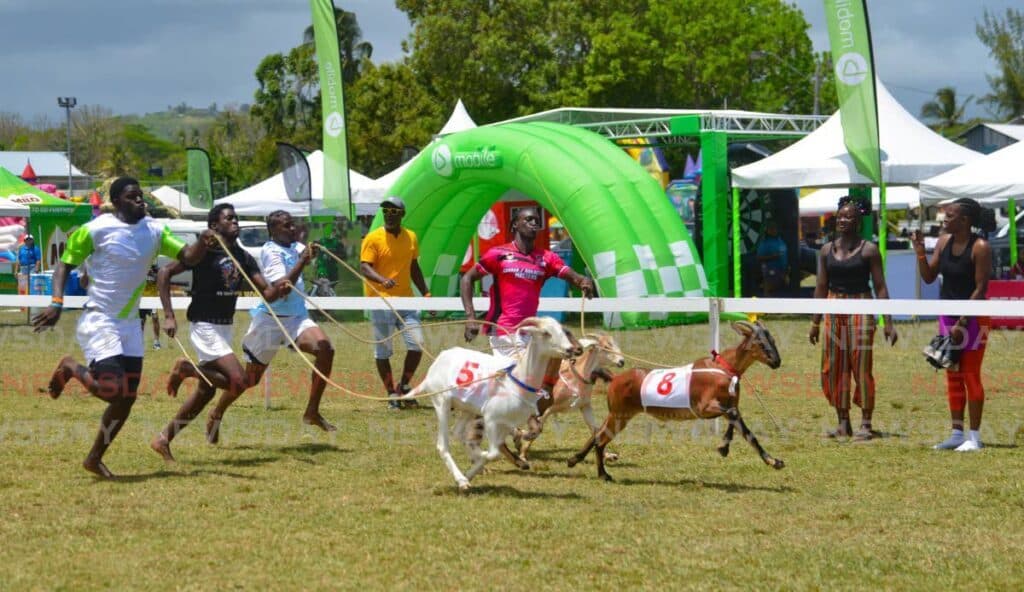 THA commends longevity of Carnbee/Mt Pleasant sports and family day