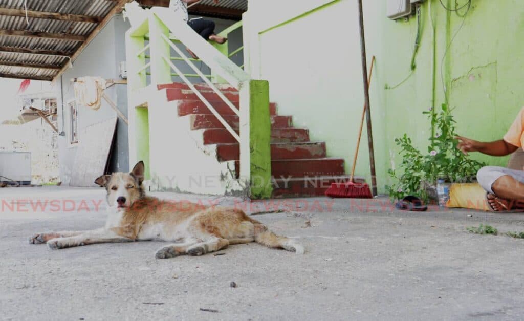 Man, son shield teen survivor during deadly Cunupia shooting