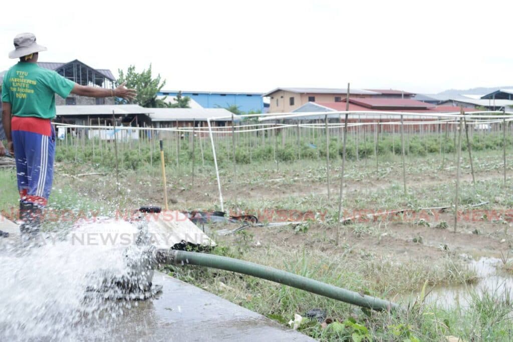 Aranguez farmers hope for fair compensation after floods