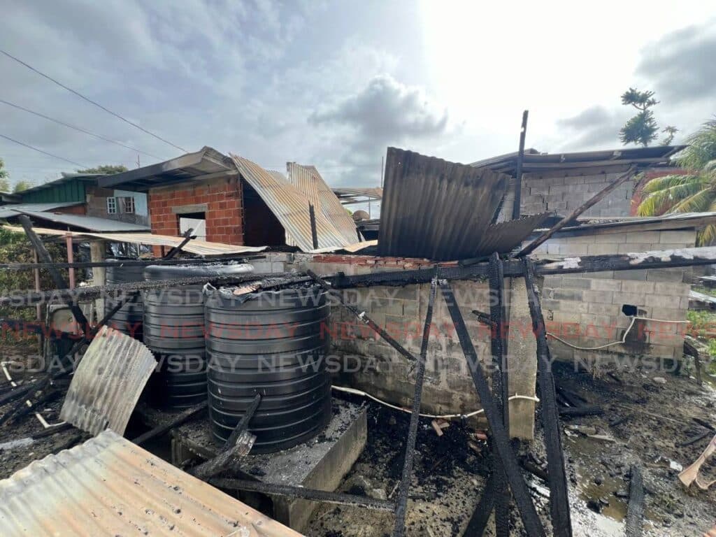 Acting CoP urges action on domestic violence after Mayaro suicide