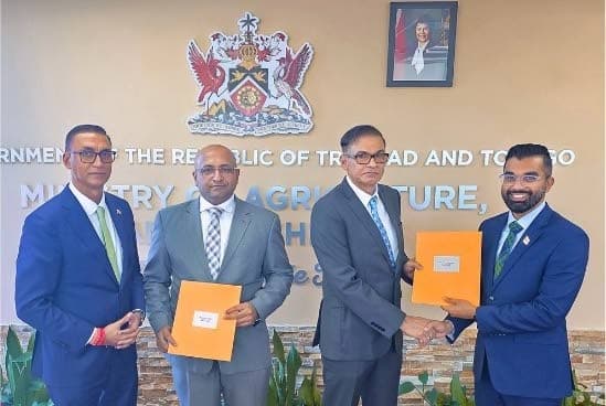 EMBD board appointed