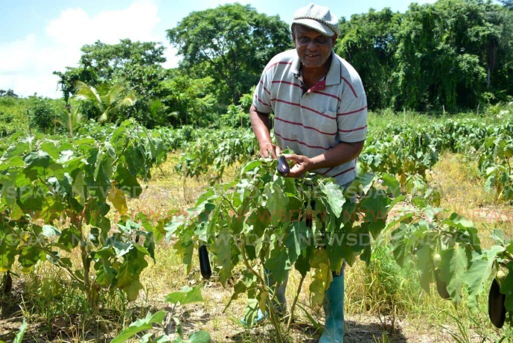 Los Iros farmers awaiting word for compensation