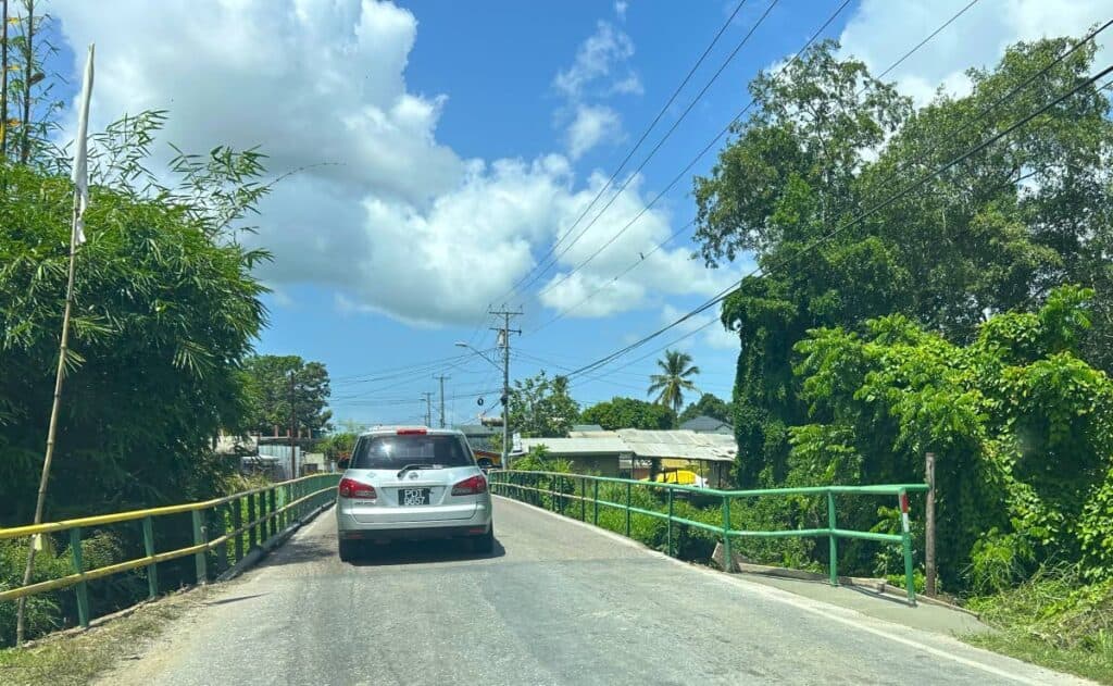 Autopsy: Kalisa Danclair drowned after Debe crash