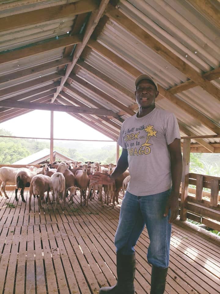 Rowley goes to Privy Council to fight for Mason Hall goat farm