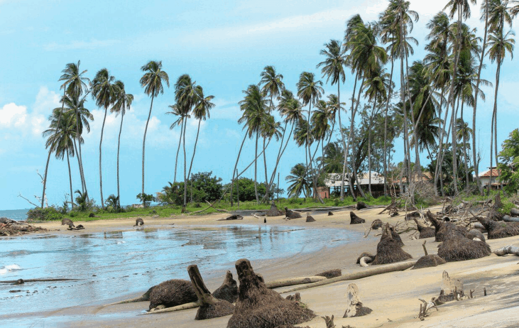 Six Venezuelans held in pirogue in Icacos