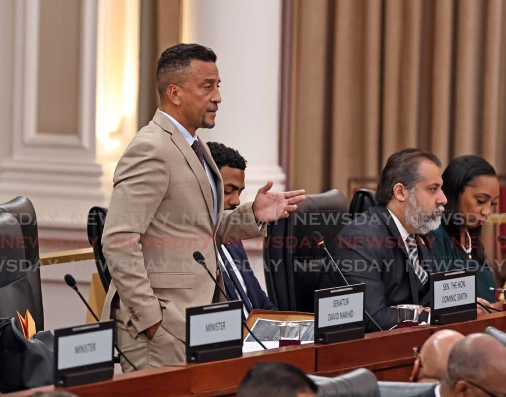 Nakhid: Grandparent bill could earn US$1b for Trinidad and Tobago