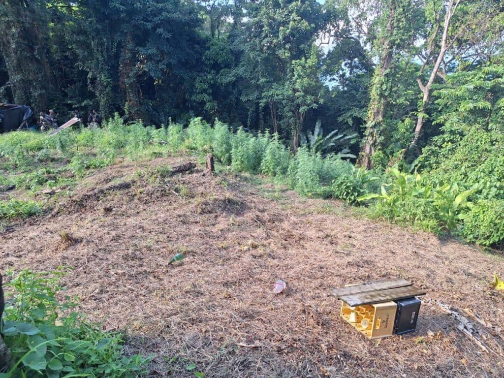 Police, Defence Force arrest 3 in Matelot