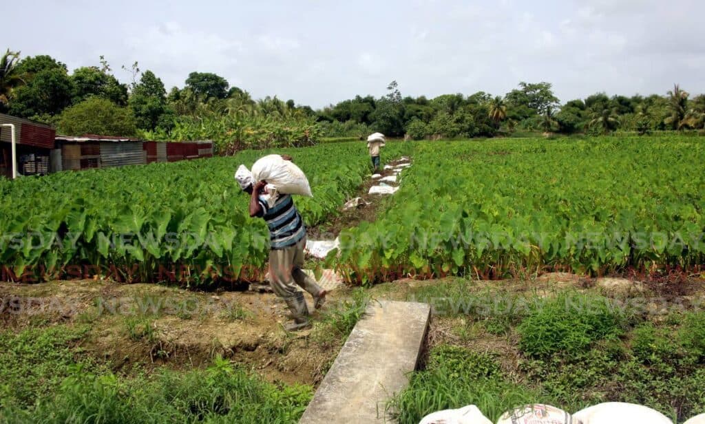 Agri-consultant urges smarter spending as key to cutting food import bill