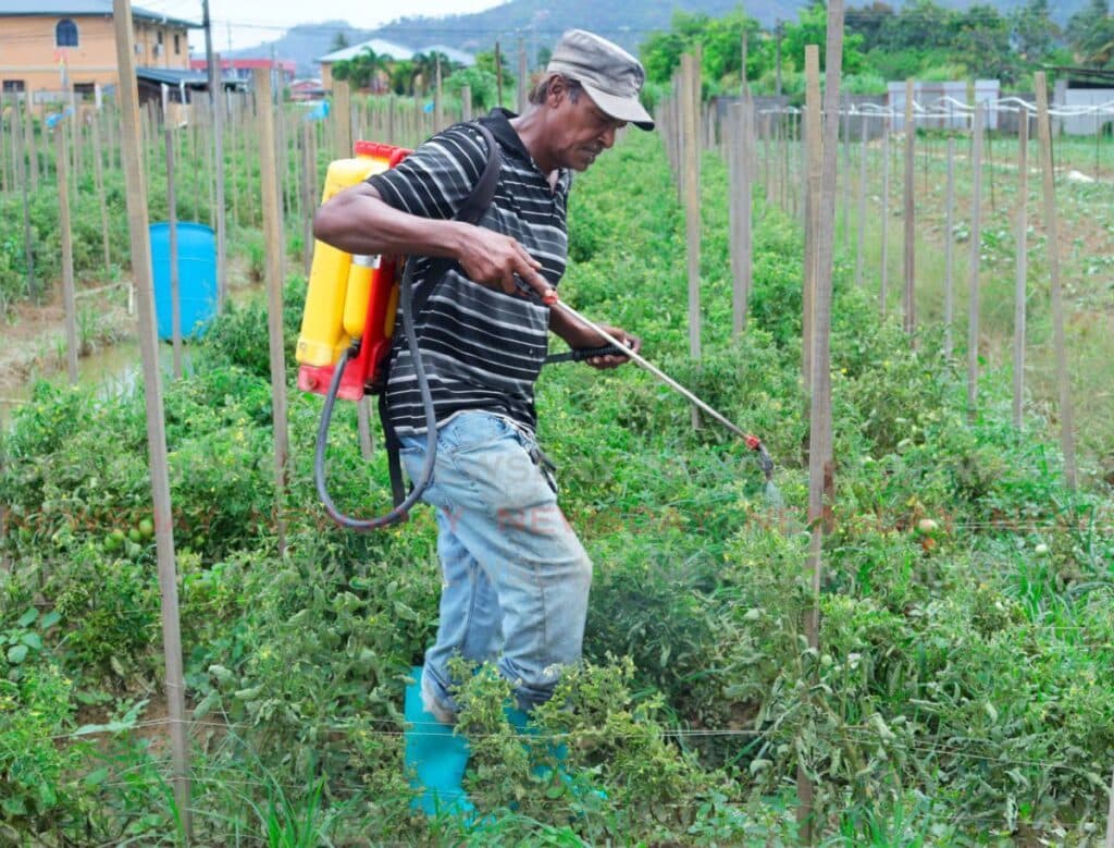 Agri Society: Expand incentives, no more 'talk shop'