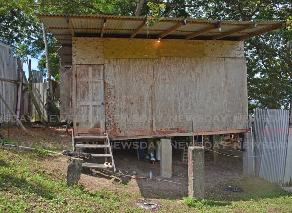 [UPDATED] Stabbed and dying, woman begs son to run away