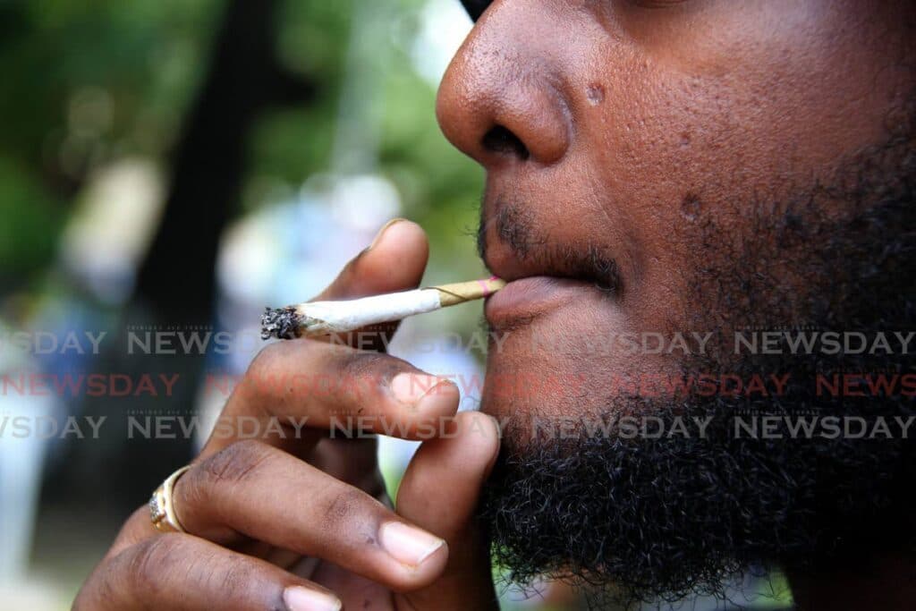 Ganja prices climb higher as US blows up 'drug boats'