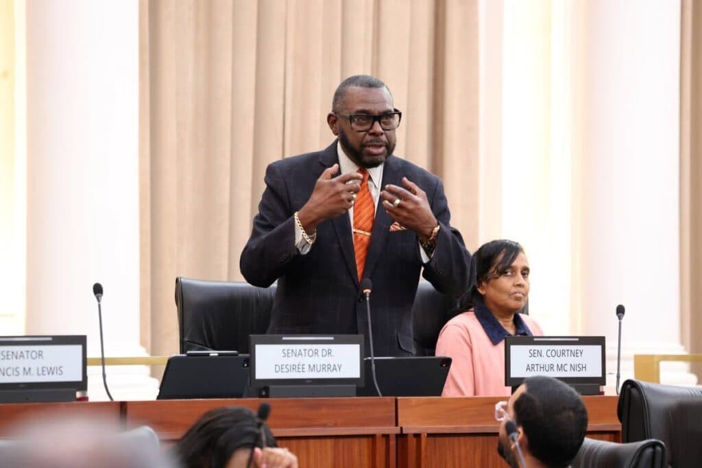 McNish slams Government – Mere hours to review bill's amendments