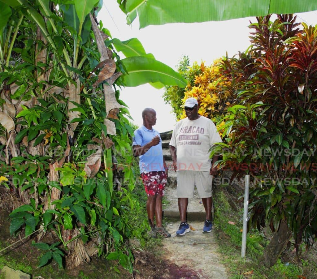 Man held for murder in Castara – TOURIST STABBED TO DEATH