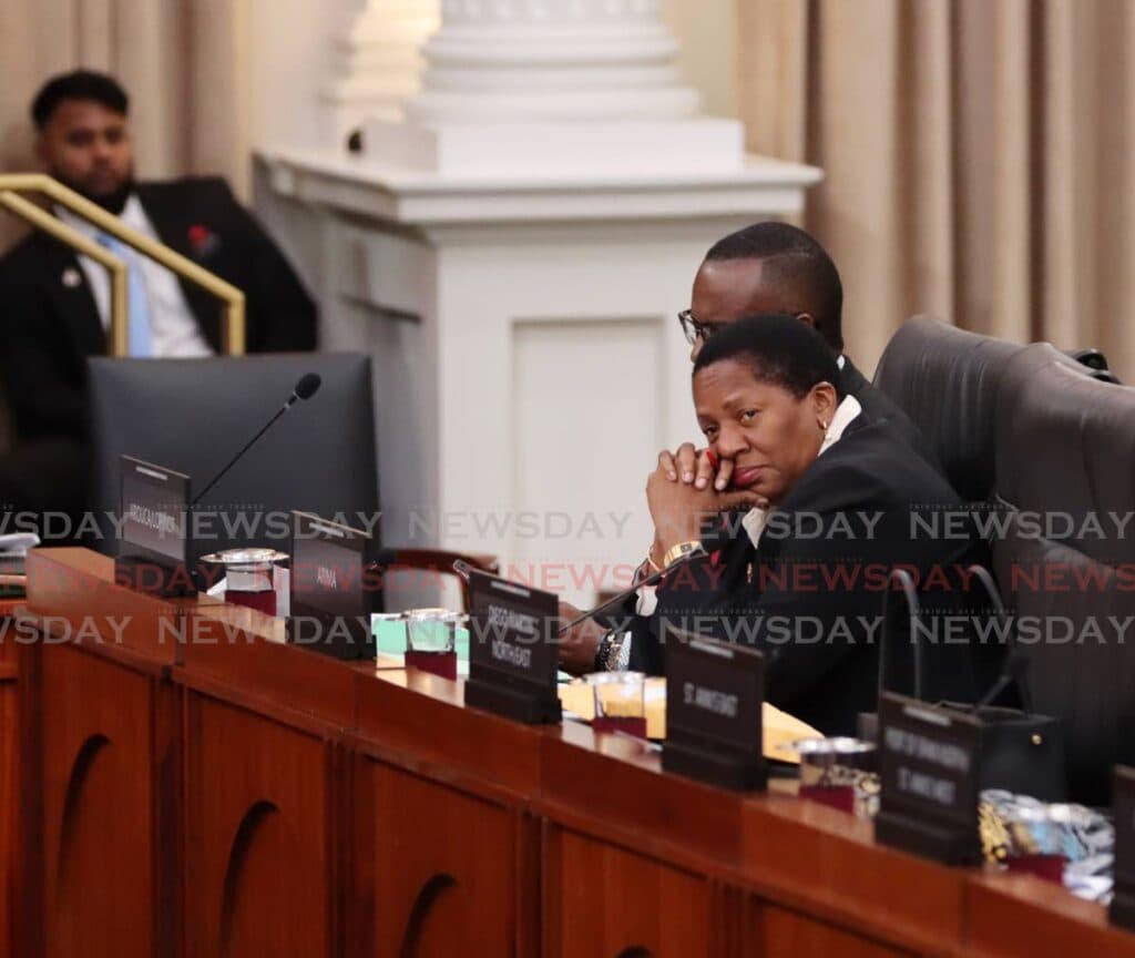 Penny knocks Finance 2025 Bill, which is passed by simple majority