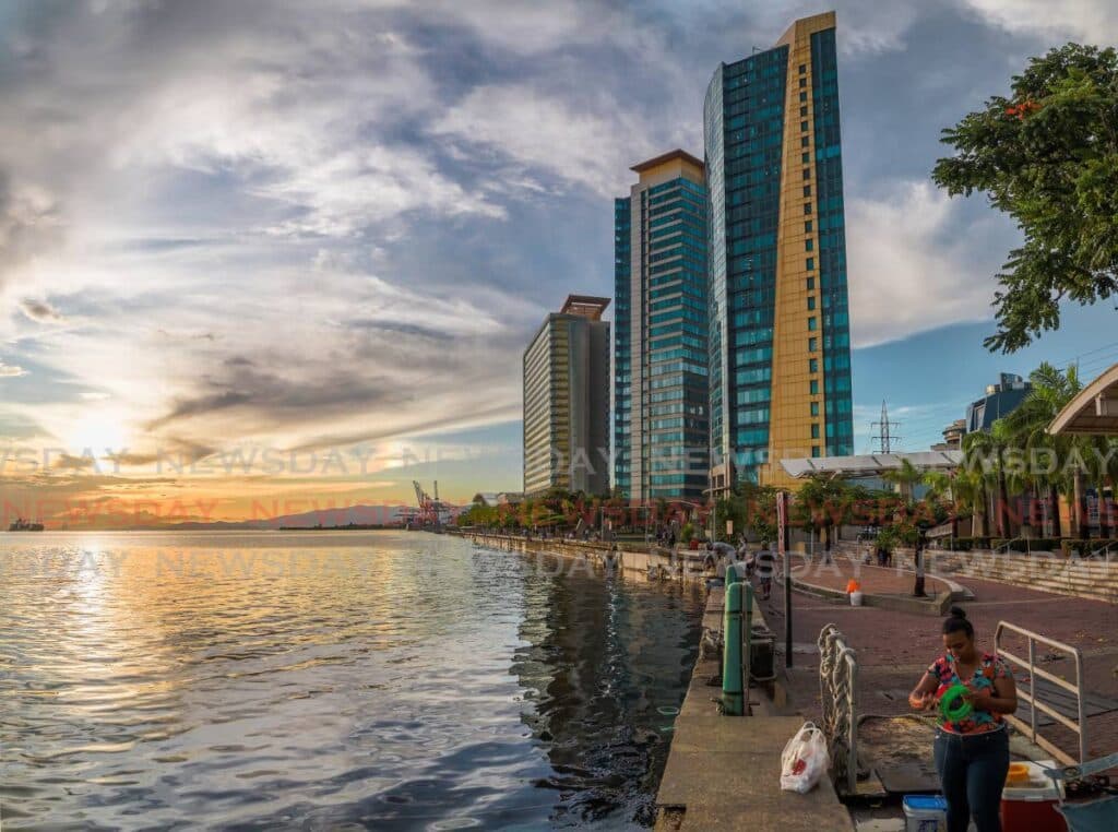 Economist warns businesses of 'black swan events'