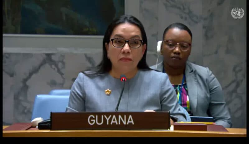Rodrigues-Birkett Tops UN Public Poll, But Security Council Holds the Real Power