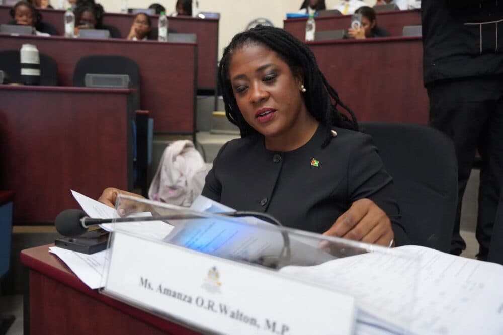 Walton-Desir says Parliament must reclaim its constitutional role as guardian of accountability