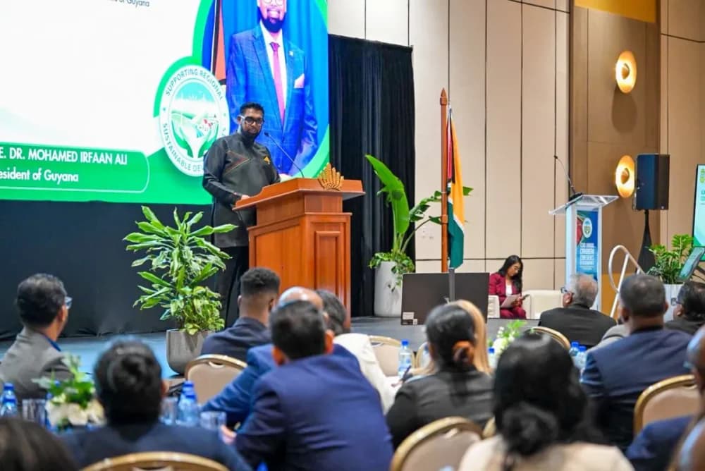 Ali’s AI Ambitions Outpace Guyana’s Digital Readiness