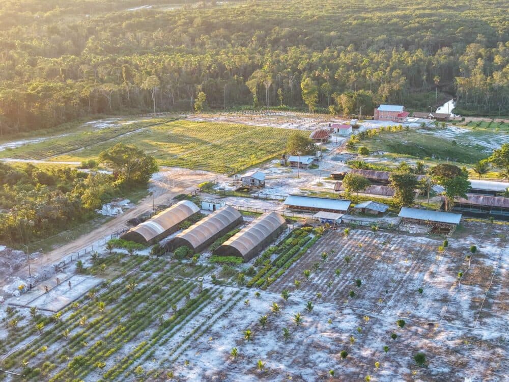 AFC Demands Independent Probe Into Financing of President Ali’s Mega Farm