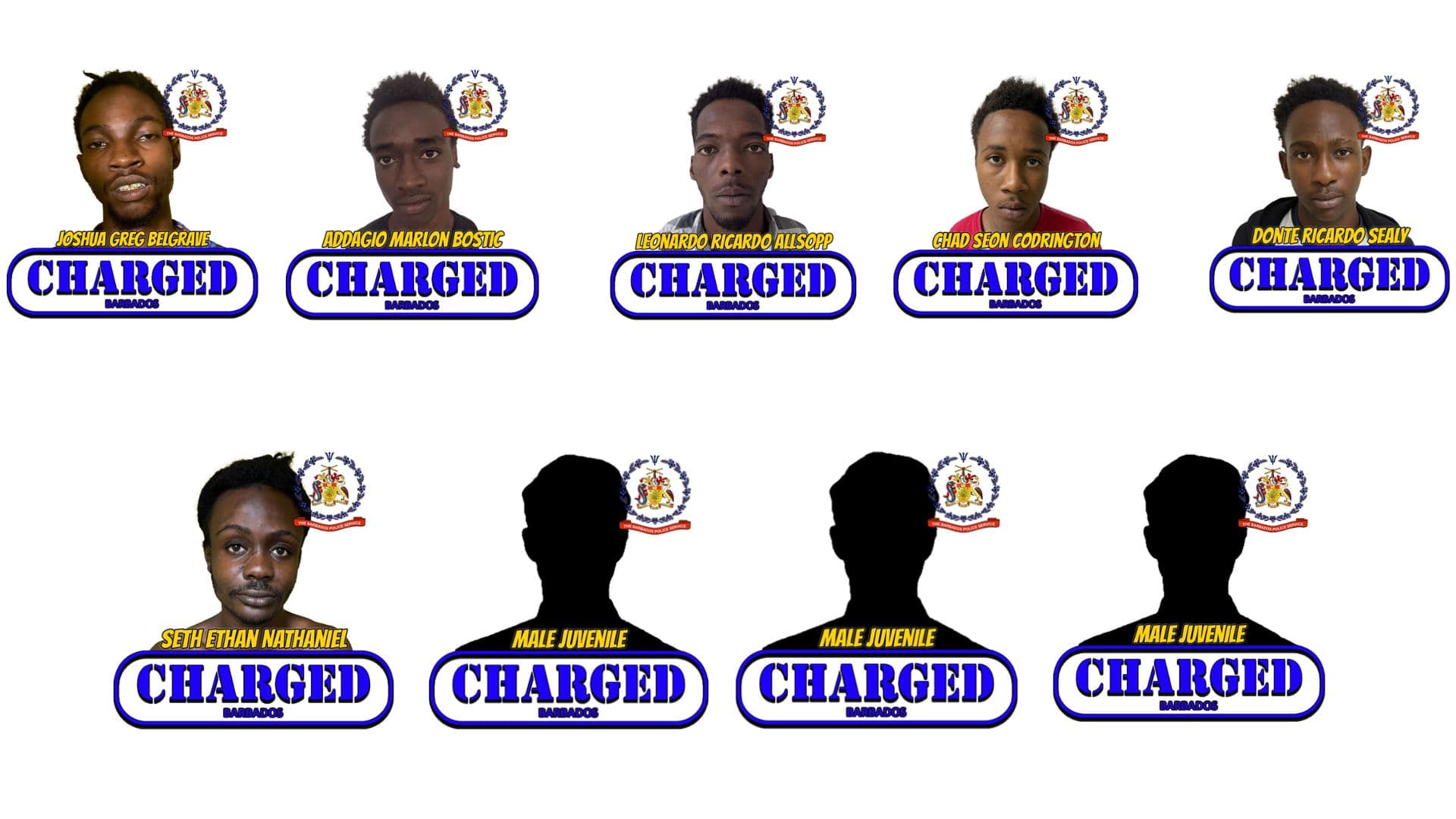 Nine charged following attack on visitor in St. Michael