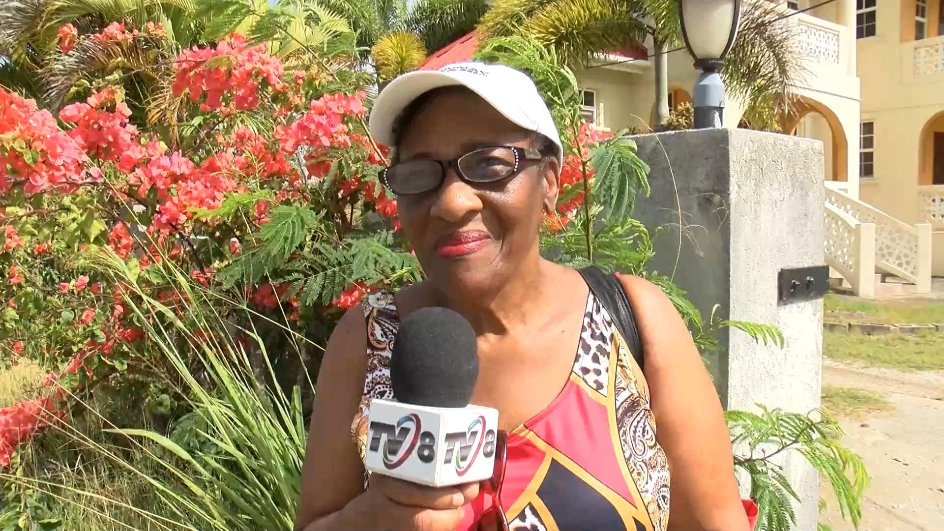 Mixed reactions to Barbados-Guyana ID travel arrangement