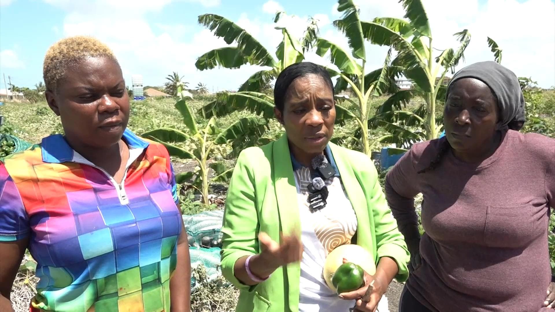 Government to seek solutions to address praedial larceny