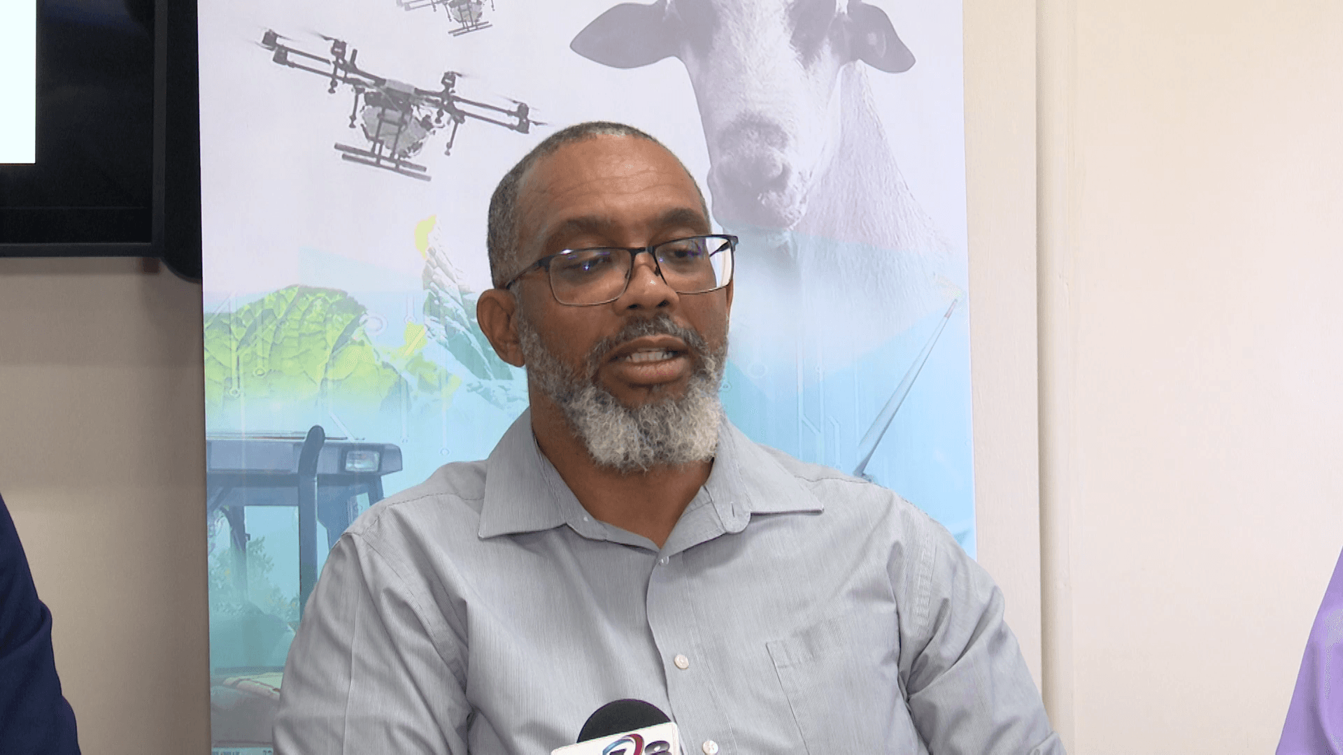 Decline in chicken wing imports, says BADMC