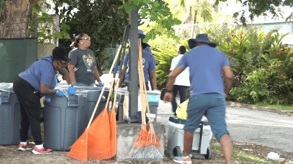 Sandals staff engage in clean-up initiative in Dover community